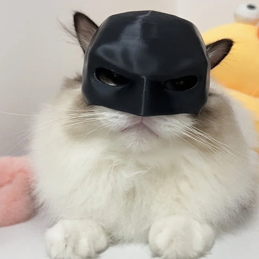 Black Bat Cat Avenger Mask