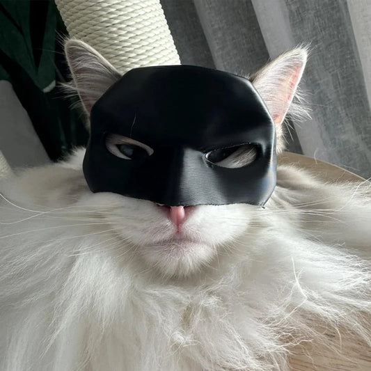Black Bat Cat Avenger Mask
