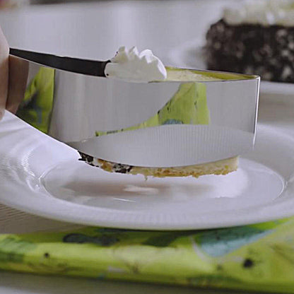 Stainless Steel Cake Pie Slicer